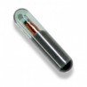 TPX4 ID46